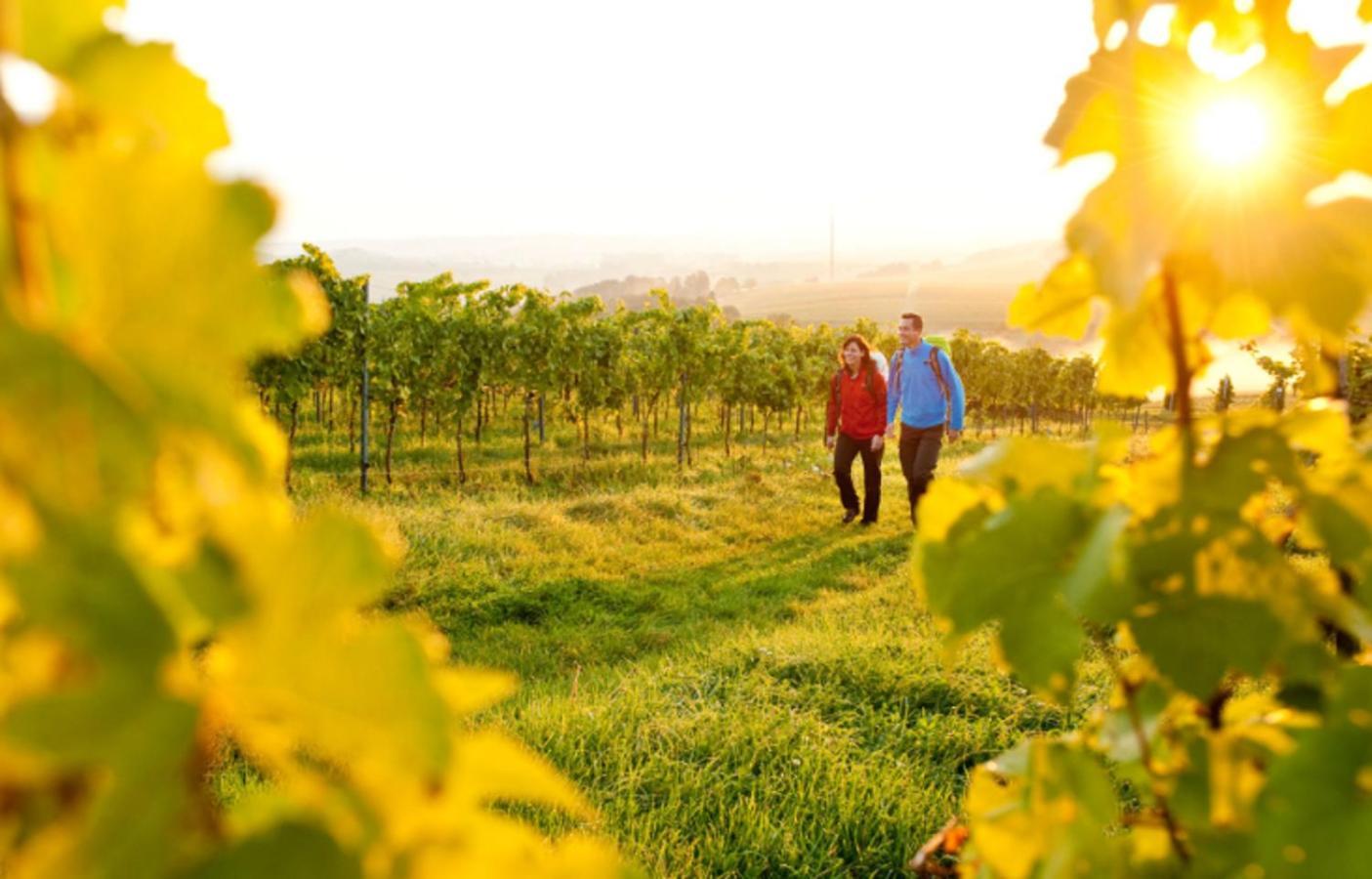 La Petite Vigneronne - Clim - Calme Holiday home
